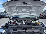 New 2026 Ford F-250 XL Crew Cab for sale #TEC12203 - photo 19