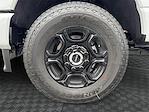 New 2026 Ford F-250 XL Crew Cab for sale #TEC33490 - photo 14