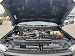 2026 Ford F-250 Crew Cab 4WD Pickup for sale #TEC39802 - photo 19