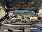 2026 Ford F-250 Crew Cab 4WD Pickup for sale #TEC50813 - photo 19
