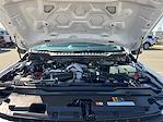 2026 Ford F-350 Crew Cab SRW 4WD Pickup for sale #TED91068 - photo 19
