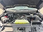 2026 Ford F-150 SuperCrew Cab 4WD Pickup for sale #TFA00299 - photo 19