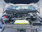 2026 Ford F-150 SuperCrew Cab 4WD Pickup for sale #TFA34587 - photo 19