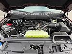 2026 Ford F-150 SuperCrew Cab 4WD Pickup for sale #TFA35722 - photo 19