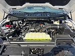 2026 Ford F-150 SuperCrew Cab 4WD Pickup for sale #TFA49977 - photo 19