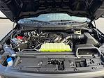 2026 Ford F-150 Regular Cab 4WD Pickup for sale #TKD03545 - photo 19
