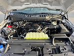 New 2026 Ford F-150 XL Regular Cab for sale #TKD18715 - photo 19