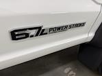 New 2025 Ford F-600 Regular Cab Cab Chassis for sale #FT062059 - photo 6