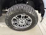 2024 Ford F-250 Crew Cab 4x4 Pickup for sale #UF042257 - photo 5
