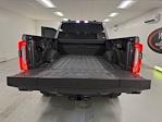 2024 Ford F-350 Crew Cab SRW 4WD Pickup for sale #UF091156 - photo 8