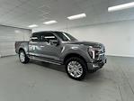 2024 Ford F-150 SuperCrew Cab 4WD Pickup for sale #UF122251 - photo 3