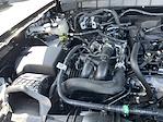 2024 Ford Bronco 4WD SUV for sale #24F287 - photo 43