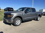 2024 Ford F-150 SuperCrew Cab 4x4, Pickup for sale #24F300 - photo 23