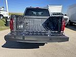 2024 Ford F-150 SuperCrew Cab 4x4, Pickup for sale #24F300 - photo 49