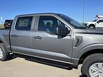 2024 Ford F-150 SuperCrew Cab 4x4, Pickup for sale #24F300 - photo 52