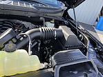 2024 Ford F-150 SuperCrew Cab 4x4 Pickup for sale #24F317 - photo 39