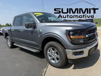 2024 Ford F-150 SuperCrew Cab 4x4 Pickup for sale #24F342 - photo 1