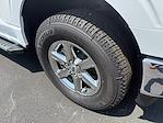 2024 Ford F-150 SuperCrew Cab 4x4 Pickup for sale #24F343 - photo 4