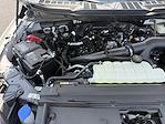 2024 Ford F-150 SuperCrew Cab 4x4 Pickup for sale #24F343 - photo 39
