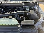 2025 Ford F-150 SuperCrew Cab 4x4 Pickup for sale #25F192 - photo 38
