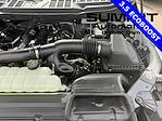 2025 Ford F-150 SuperCrew Cab 4x4 Pickup for sale #25F193 - photo 40