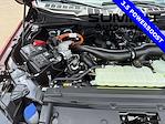 2025 Ford F-150 SuperCrew Cab 4x4 Pickup for sale #25F212 - photo 38