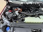 New 2025 Ford F-150 XLT SuperCrew Cab 4WD Pickup for sale #25F212 - photo 38
