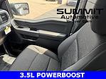 2025 Ford F-150 SuperCrew Cab 4x4 Pickup for sale #25F213 - photo 20
