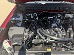2025 Ford Bronco 4WD SUV for sale #25F236 - photo 40