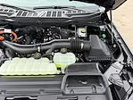 2025 Ford F-150 SuperCrew Cab 4x4 Pickup for sale #25F241 - photo 40
