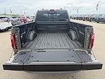 2025 Ford F-150 SuperCrew Cab 4x4 Pickup for sale #25F264 - photo 35