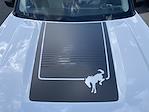 New 2025 Ford Bronco Sport Badlands 4WD SUV for sale #25F266 - photo 29