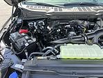 New 2025 Ford F-150 STX SuperCrew Cab 4x4 Pickup for sale #25F271 - photo 38