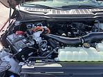 New 2025 Ford F-150 XLT SuperCrew Cab 4x4 Pickup for sale #25F273 - photo 41