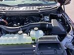 New 2025 Ford F-150 XLT SuperCrew Cab 4x4 Pickup for sale #25F273 - photo 42