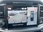 New 2025 Ford F-150 XLT SuperCrew Cab 4x4 Pickup for sale #25F285 - photo 19