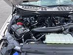 New 2025 Ford F-150 XLT SuperCrew Cab 4x4 Pickup for sale #25F285 - photo 37
