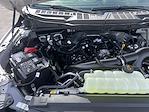 New 2025 Ford F-150 STX SuperCrew Cab 4x4 Pickup for sale #25F290 - photo 38