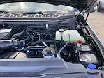 New 2025 Ford F-250 XLT Crew Cab 4WD Pickup for sale #25F301 - photo 37