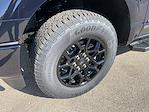 New 2025 Ford F-150 XLT SuperCrew Cab 4WD Pickup for sale #25F304 - photo 4