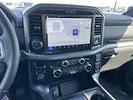 New 2025 Ford F-150 XLT SuperCrew Cab 4WD Pickup for sale #25F304 - photo 10
