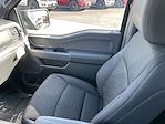 New 2025 Ford F-150 XLT SuperCrew Cab 4WD Pickup for sale #25F304 - photo 22