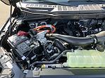 New 2025 Ford F-150 XLT SuperCrew Cab 4WD Pickup for sale #25F304 - photo 42