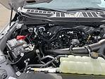 New 2025 Ford F-150 STX SuperCrew Cab for sale #25F343 - photo 37