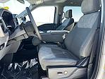 Used 2023 Ford F-150 XLT SuperCrew Cab 4WD Pickup for sale #3431X - photo 8