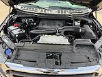 2023 Ford F-150 SuperCrew Cab 4WD Pickup for sale #3433X - photo 39
