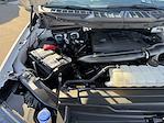 2023 Ford F-150 SuperCrew Cab 4WD Pickup for sale #3435X - photo 36