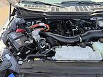 2024 Ford F-150 SuperCrew Cab 4WD Pickup for sale #3600X - photo 38