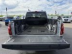 2024 Ford F-150 SuperCrew Cab 4WD Pickup for sale #3626X - photo 30