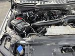 2024 Ford F-150 SuperCrew Cab 4WD Pickup for sale #3626X - photo 36